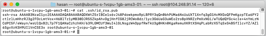 cat-id-rsa